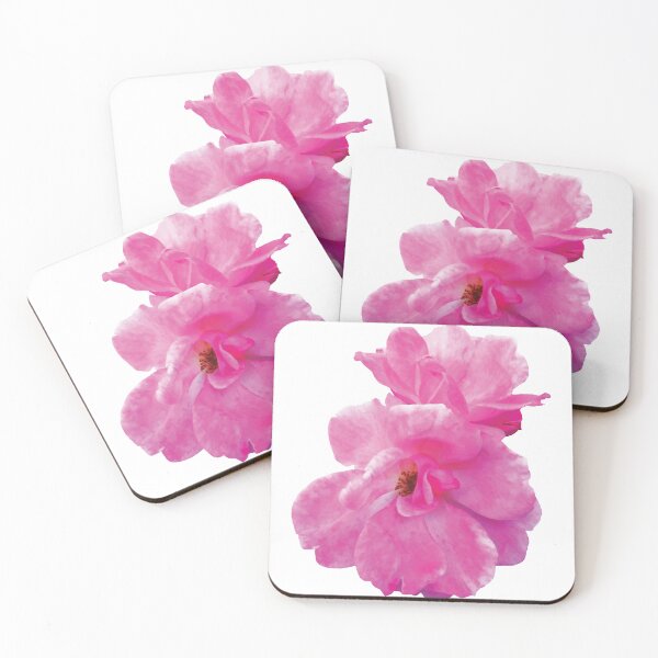 Item preview, Two Pink Roses in Autumn designed and sold by Susan Savad.