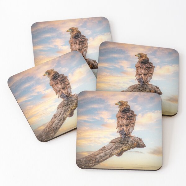 Item preview, Who ruffled your feathers? designed and sold by Viv Thompson Photography .