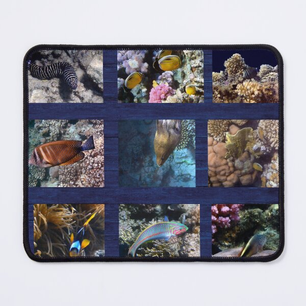 Item preview, Hurmerinta Red Sea Sealife Collage 3 designed and sold by hurmerinta.