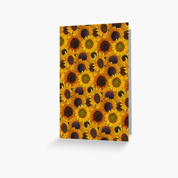 Sunflowers From My Garden No. 001 Greeting Card