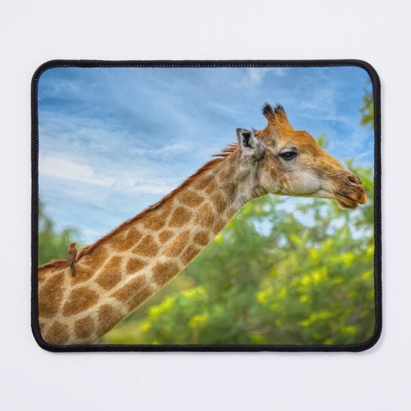 Item preview, The Giraffe and the Oxpecker designed and sold by Viv Thompson Photography .