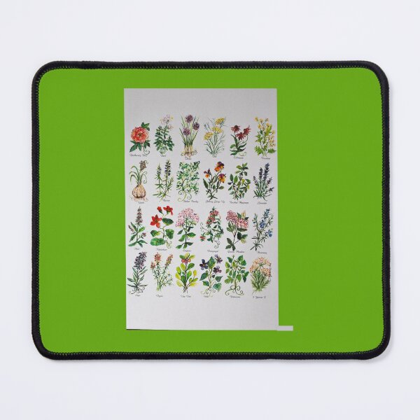 Item preview, Herbal Alphabetical Watercolor  designed and sold by ahatsku.