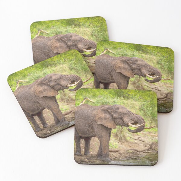 Item preview, Quenching a thirst designed and sold by Viv Thompson Photography .
