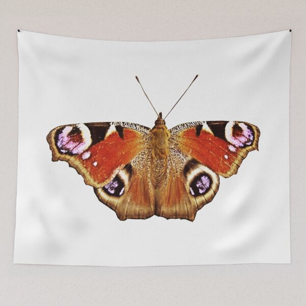 Aperçu de l'œuvre Papillon paon européen créée et vendue par Robin3DT.