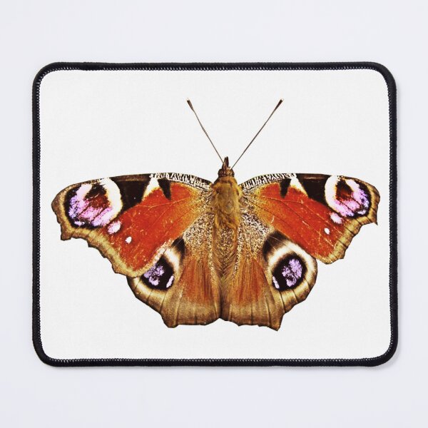 Item preview, European peacock Butterfly designed and sold by Robin3DT.