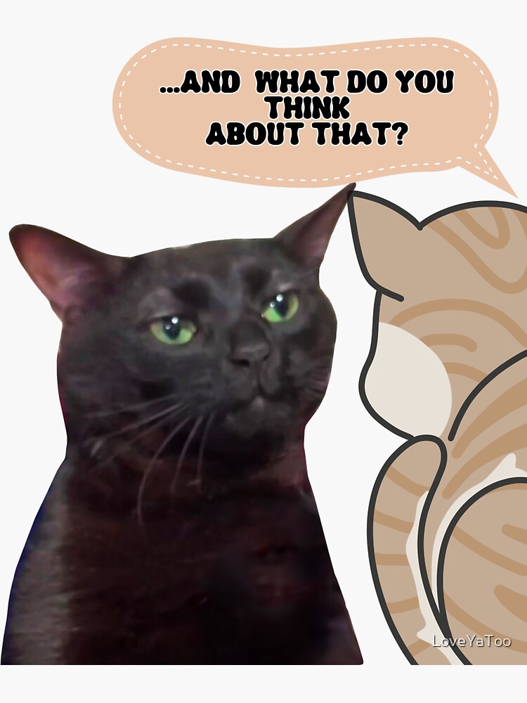Funny Cute Cat Memes Cat Face Retro Vintage - Cat Memes - Sticker