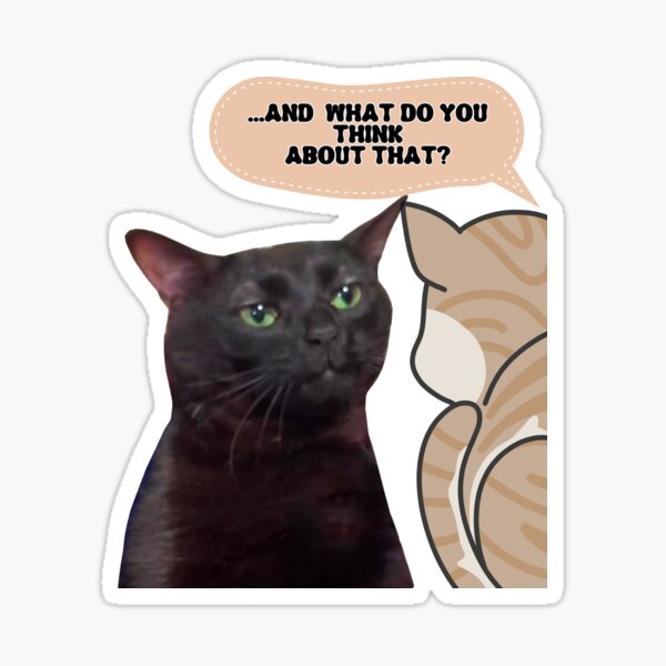 Black Cat Zoning Out Meme Sticker Decal