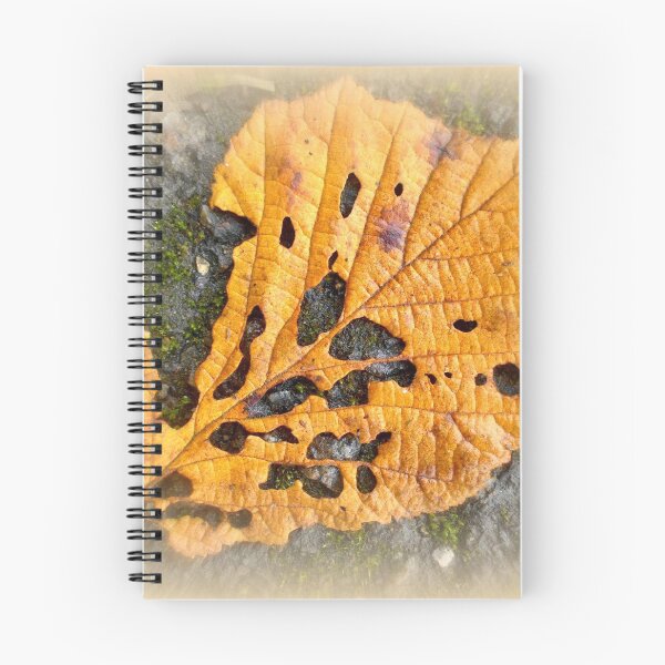 Item preview, Holey autumn leaf designed and sold by AnnabellaRh.