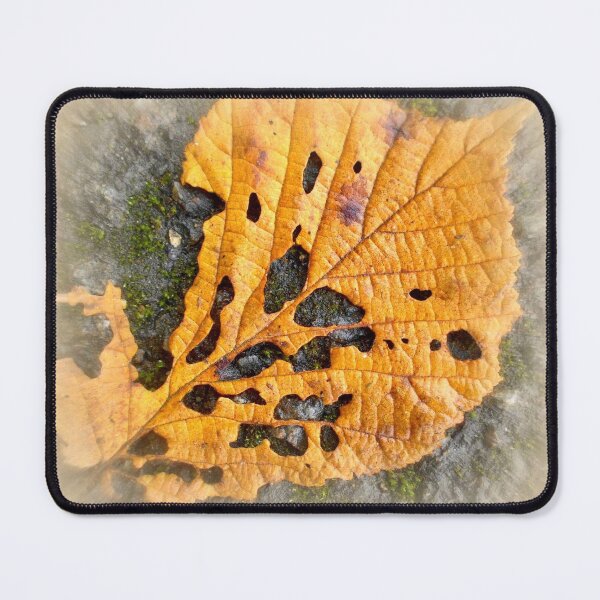Item preview, Holey autumn leaf designed and sold by AnnabellaRh.