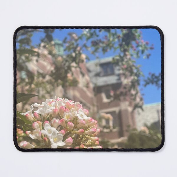 Item preview, Claflin Hall designed and sold by Pisces-Pics.