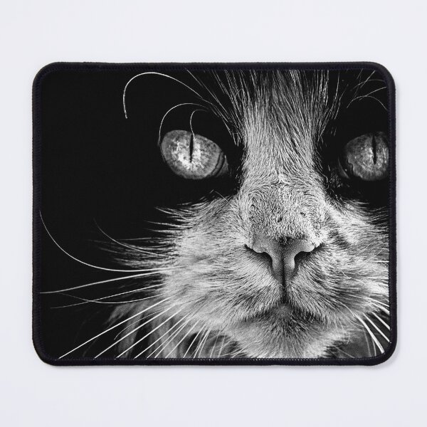 Item preview, The Big Bad Boy designed and sold by The Learning Curve Photography.