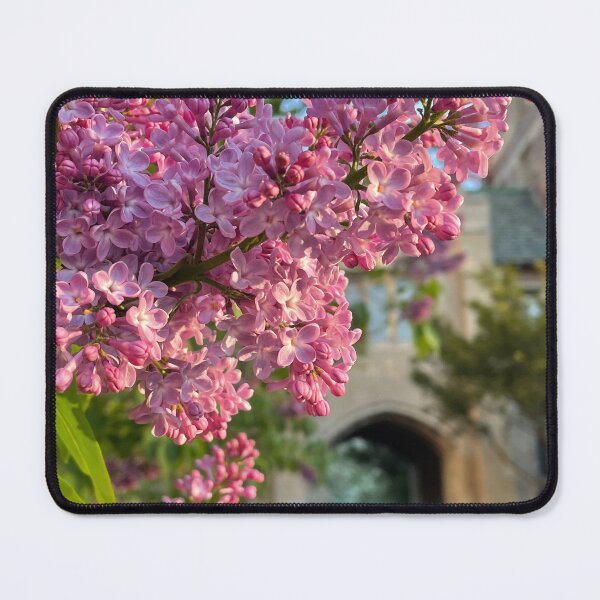 Item preview, The Lilac Archway designed and sold by Pisces-Pics.