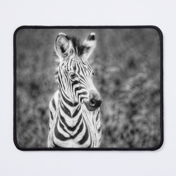 Item preview, Young Stripes designed and sold by Viv Thompson Photography .