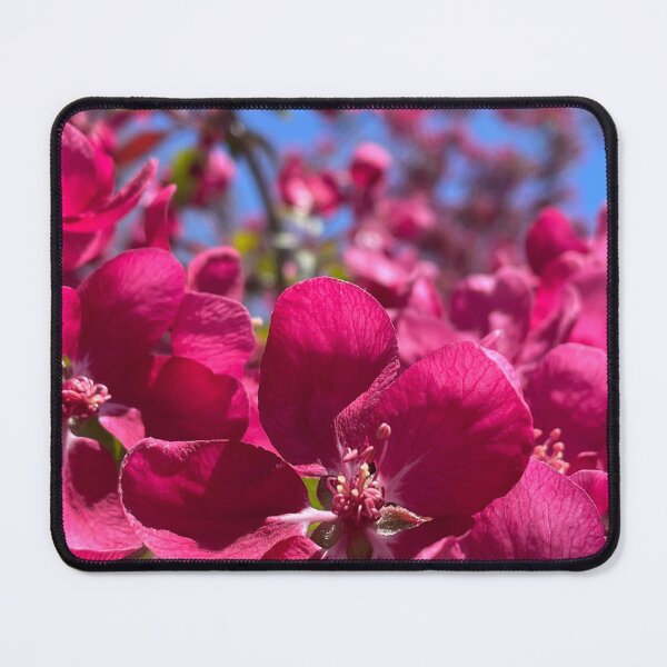 Item preview, Crabapple Spring designed and sold by Pisces-Pics.
