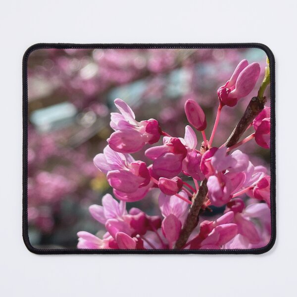Item preview, Clapp Amid Redbuds designed and sold by Pisces-Pics.