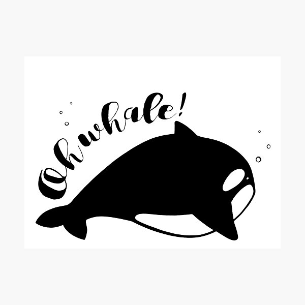 Oh Whale! Photographic Print