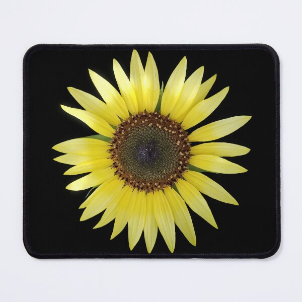 Item preview, Field Guide to Sunflowers, No. 17, Lemon Queen Bright Yellow Flower  designed and sold by Kristi Duggins.