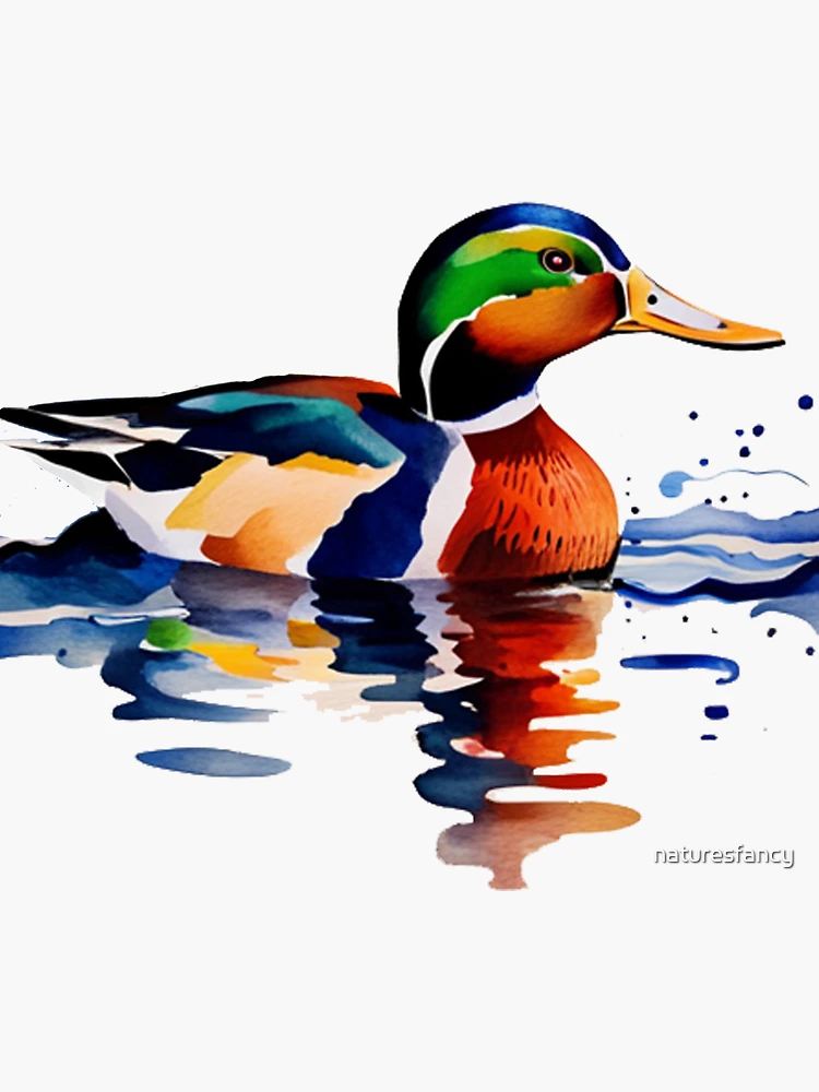 Cool Mallard Duck Water Color Art Sticker for Sale by