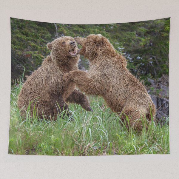 Item preview, Two Brown Bears Fighting Alaska designed and sold by PhotoArt by Joan Carroll.