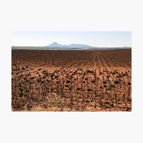 Artikelvorschau, Drought entworfen und verkauft von David Lee Thompson.