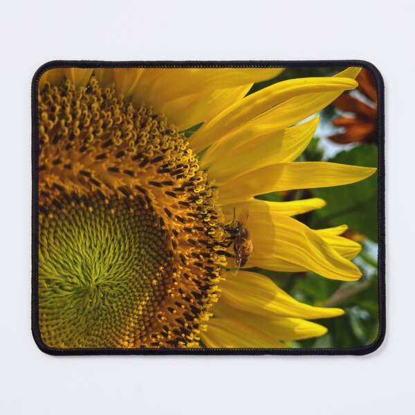 Item preview, Sunny Bee designed and sold by Prints-ByErin.
