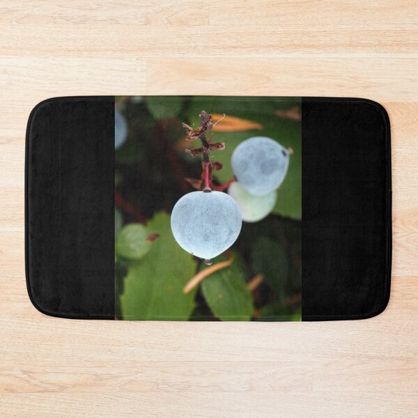 Item preview, Oregon grape (Mahonia aquifolium) berries in a Pacific Northwest forest designed and sold by SDym Photography.