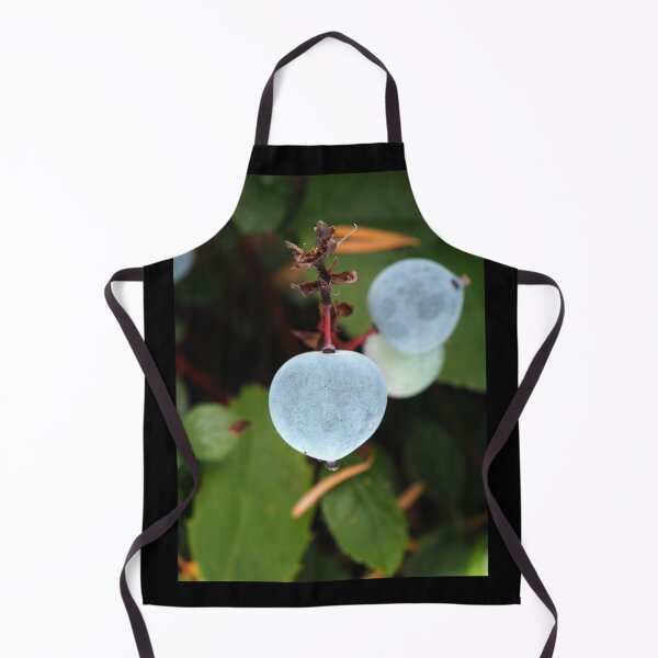 Item preview, Oregon grape (Mahonia aquifolium) berries in a Pacific Northwest forest designed and sold by SDym Photography.