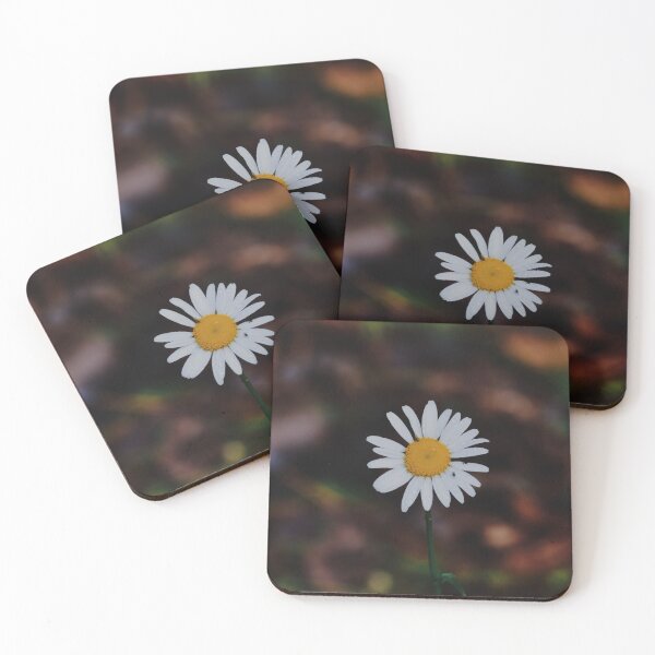 Item preview, Oxeye Daisy designed and sold by Tessia Photography.