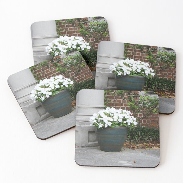 Item preview, Pansy White designed and sold by Cynthia48.