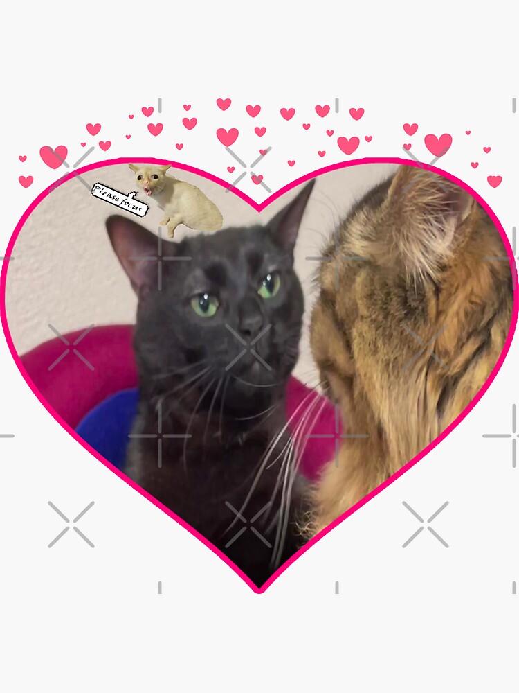 "Zoned Out Cat, Black cat zoned out, Zoned Out Cat meme, Hearts cats