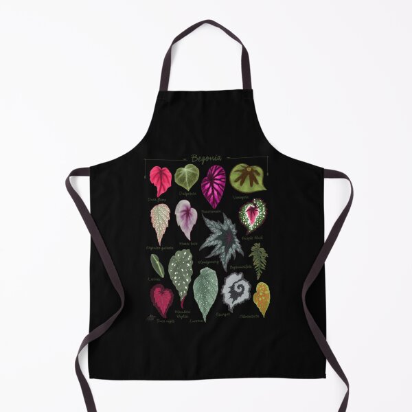Item preview, Begonia leaves species varieties art print botanical designed and sold by blrwzcgfarz76.