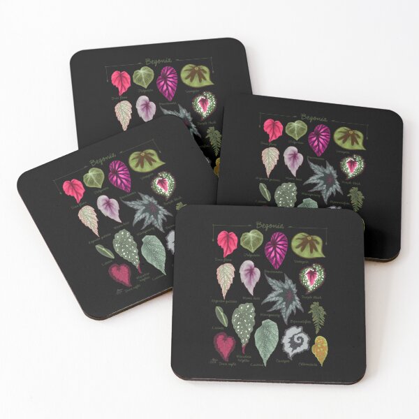 Item preview, Begonia leaves species varieties art print botanical 	  	 designed and sold by blrwzcgfarz76.