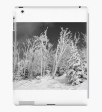 Frozen iPad Case/Skin