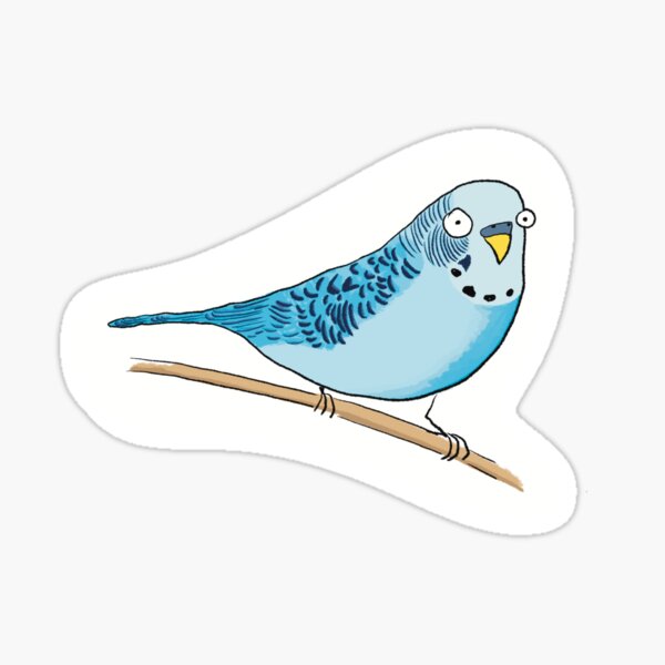 Item preview, budgie bro designed and sold by a little  bit feral.