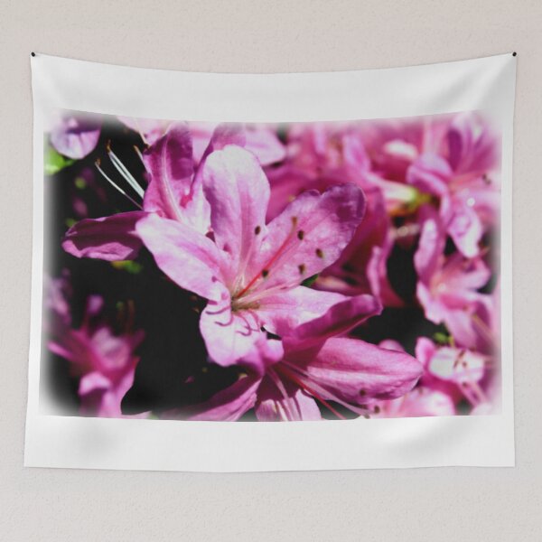 Item preview, Hey Juliet  designed and sold by Salte.