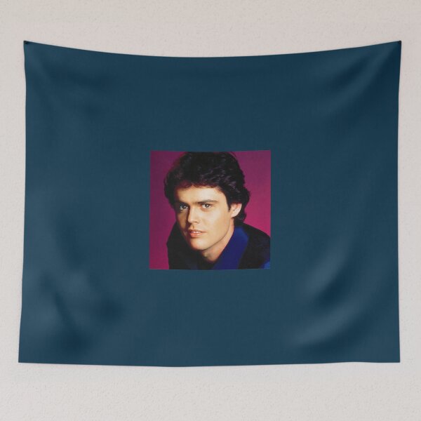 Aperçu de l'œuvre Le jeune Donny Osmond créée et vendue par Minimooncafez.