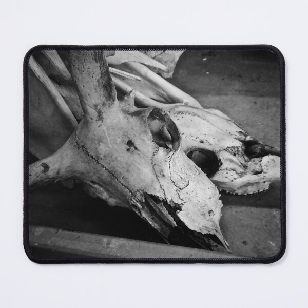 Item preview, Skulls designed and sold by MtnDew3301.