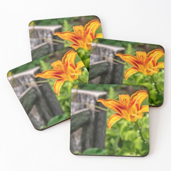 Item preview, Orange Flower designed and sold by barkeypf.