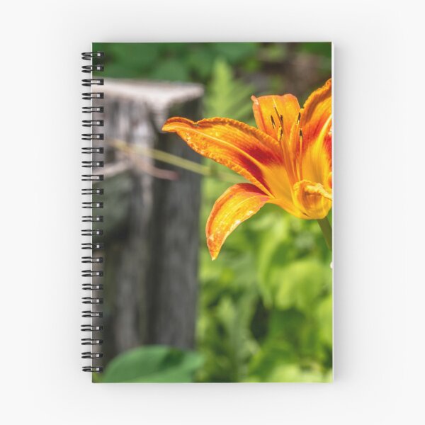 Item preview, Orange Flower designed and sold by barkeypf.