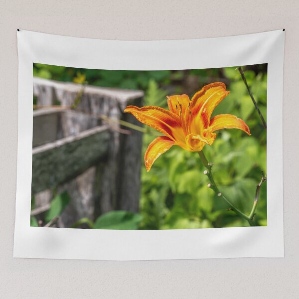 Item preview, Orange Flower designed and sold by barkeypf.