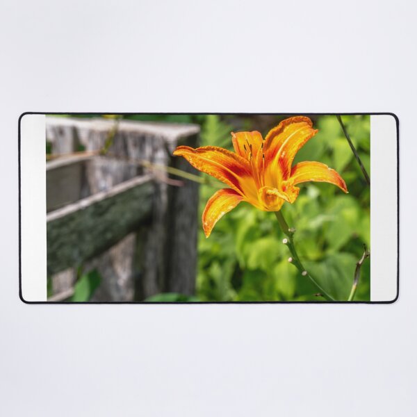 Item preview, Orange Flower designed and sold by barkeypf.