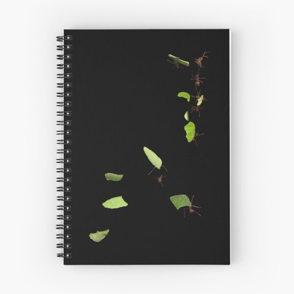 Item preview, Leaf Cutter Ants  	 designed and sold by fctqffqggy27.