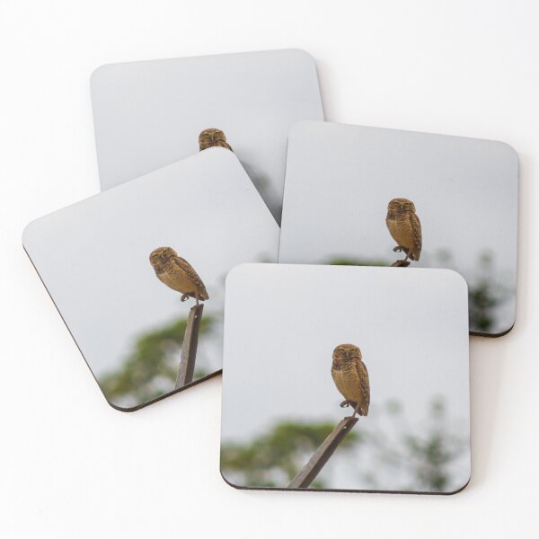 Item preview, the owl designed and sold by ricobarinas.