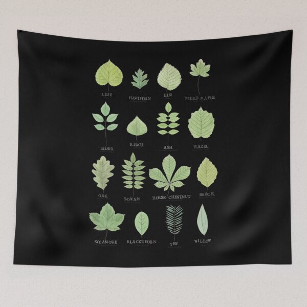 Aperçu de l'œuvre Tableau d'identification des feuilles créée et vendue par fctqffqggy27.
