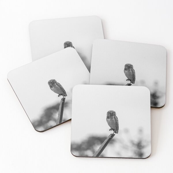 Item preview,  the owl the owl designed and sold by ricobarinas.