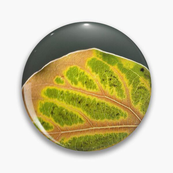 Item preview, back lit leaf designed and sold by hypermouse.