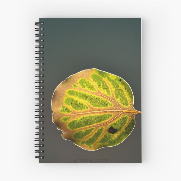 Item preview, back lit leaf designed and sold by hypermouse.