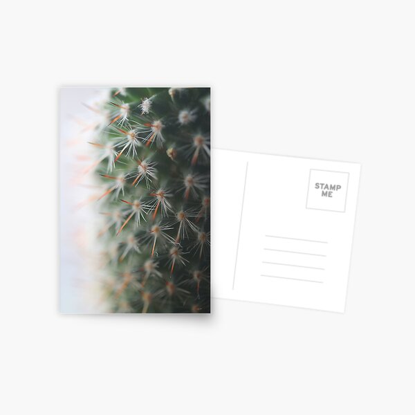 Item preview, Cactus with Red Spines designed and sold by Gwenn Seemel.
