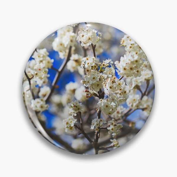 Item preview, White Blossoms On The Tree  designed and sold by Joy Watson - Natural Light Photography .