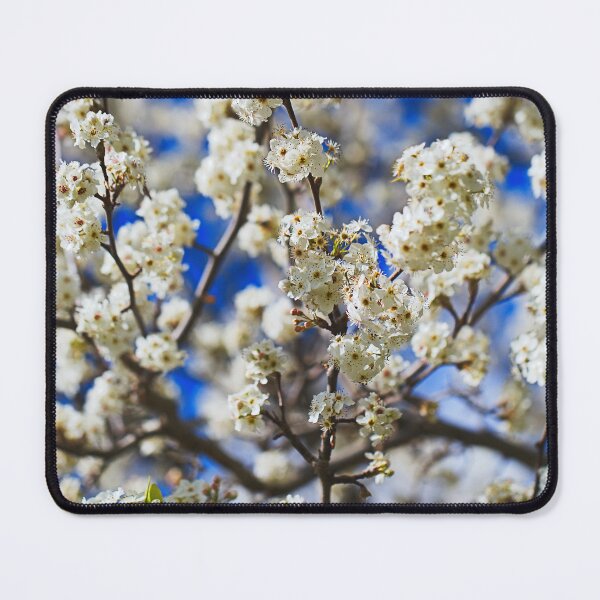 Item preview, White Blossoms On The Tree  designed and sold by Joy Watson - Natural Light Photography .